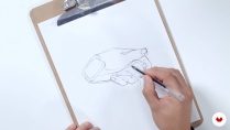 Lesson image