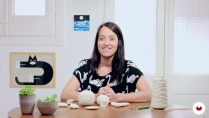 Lesson image